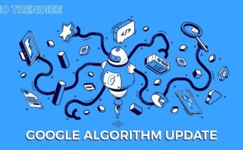 Google Algorithm Updates